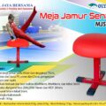 meja jamur, meja jamur senam, meja jamur senam lantai, meja jamur senam shopee, meja jamur senam semarang, senam artistik, alat senam artistik putra, senam lantai, alat senam, bangku jamur senam, alat senam ritmik, alat senam gymnastic, perlengkapan senam lantai, meja lompat, palang sejajar, palang bertingkat, palang tunggal, kuda pelana, papan pegas senam, balok keseimbangan, peti lompat, alat pomel, alat latihan senam artistik